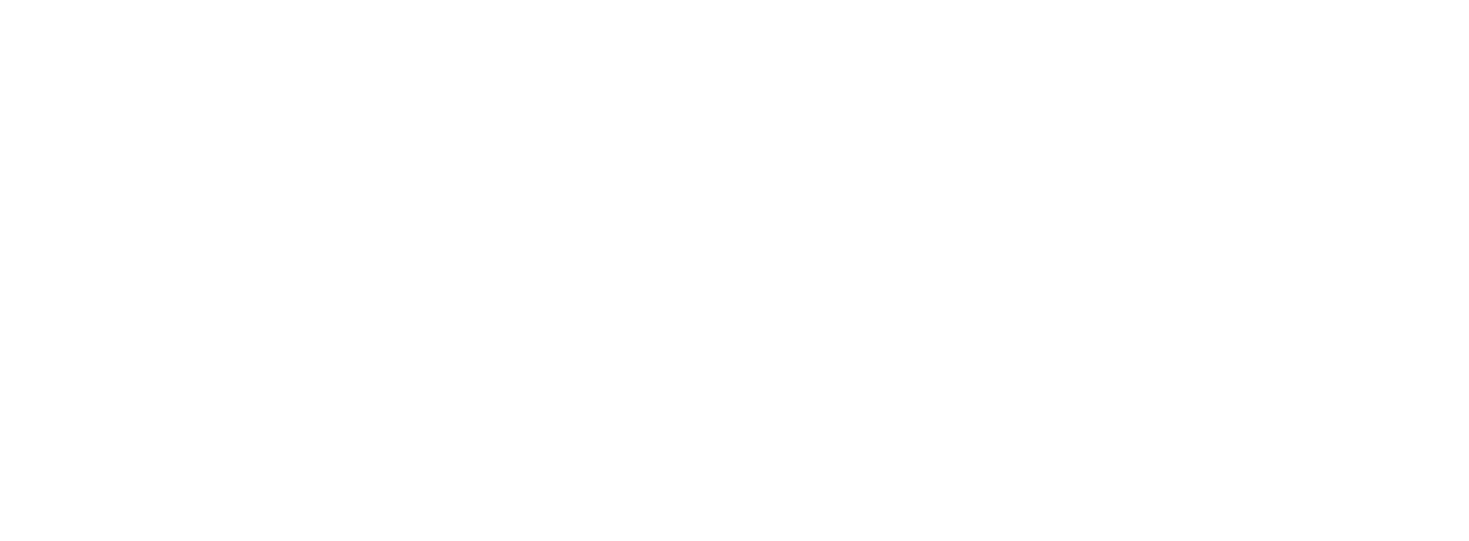 Emerce 100 logo, erkenning als top digital agency