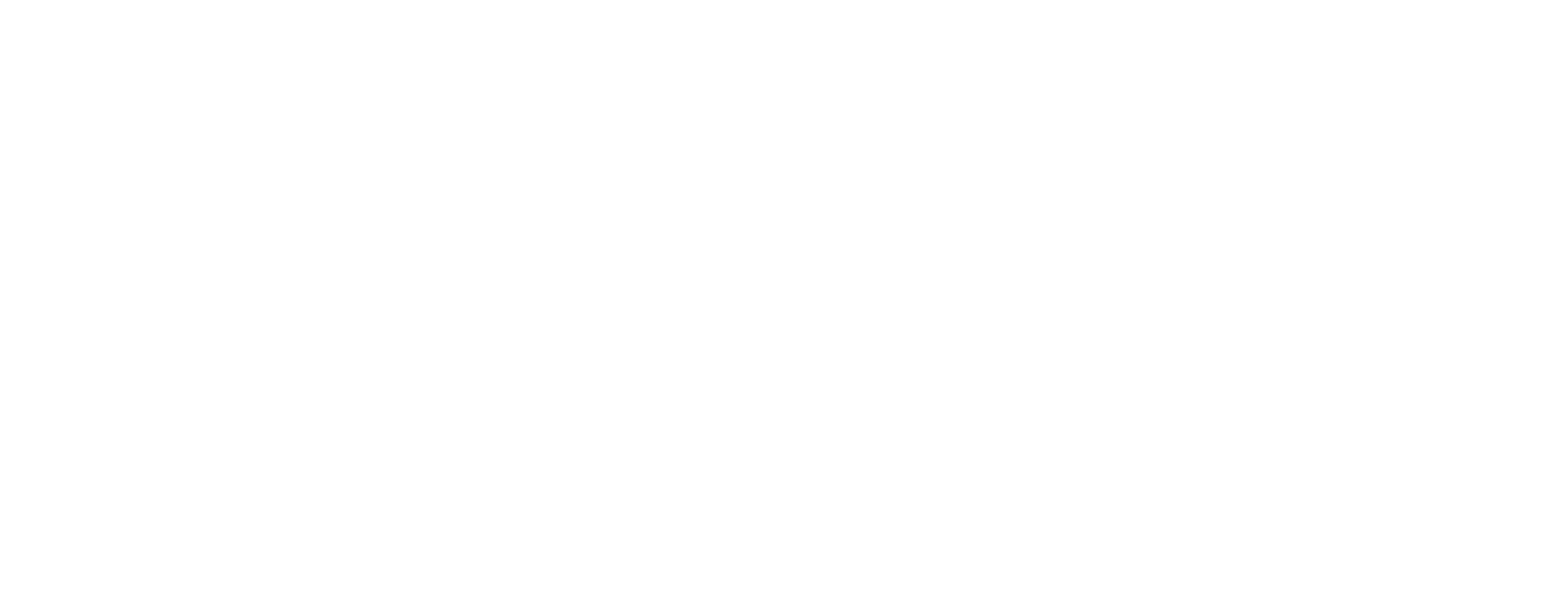 Google Partner logo, gecertificeerd Google Ads partner
